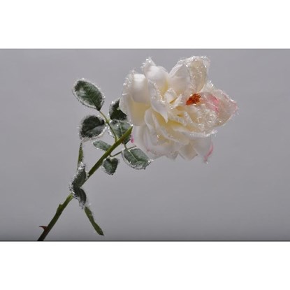 Růže na stonku krémová 65 cm_0