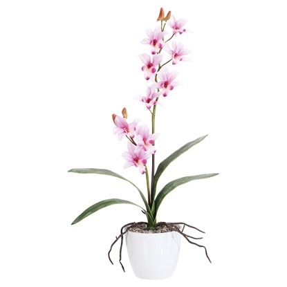 Orchidej 60cm růžová (bez květináče)_0