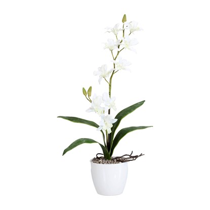 Orchidej 60cm bílá (bez květináče)_0