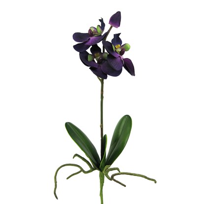 Orchidej 31,5 cm fialová,  bez květináče_1