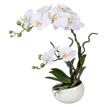 Orchidej Phalenopsis 42cm bílá_0