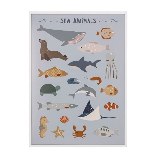 Plakát v bílém rámu Cay mořští živočichové 72x52 cm_3