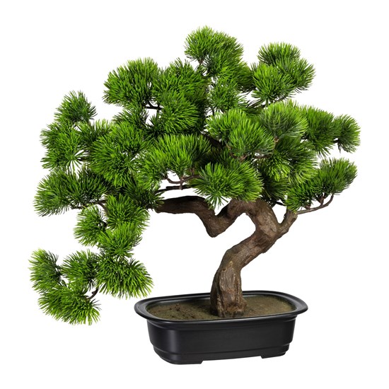 Umělá dekorace bonsai borovice ca 40x40 cm v černé plastové misce_1