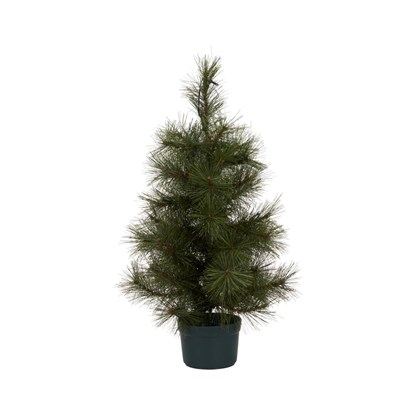 Svítící vánoční strom PINUS 20LED V.60 cm_4