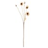 Umělá dekorace/květina POPPY stonek máku V.104cm_8