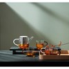Konvice na čaj COPPA GLASS 1,1ll bílé víčko_1