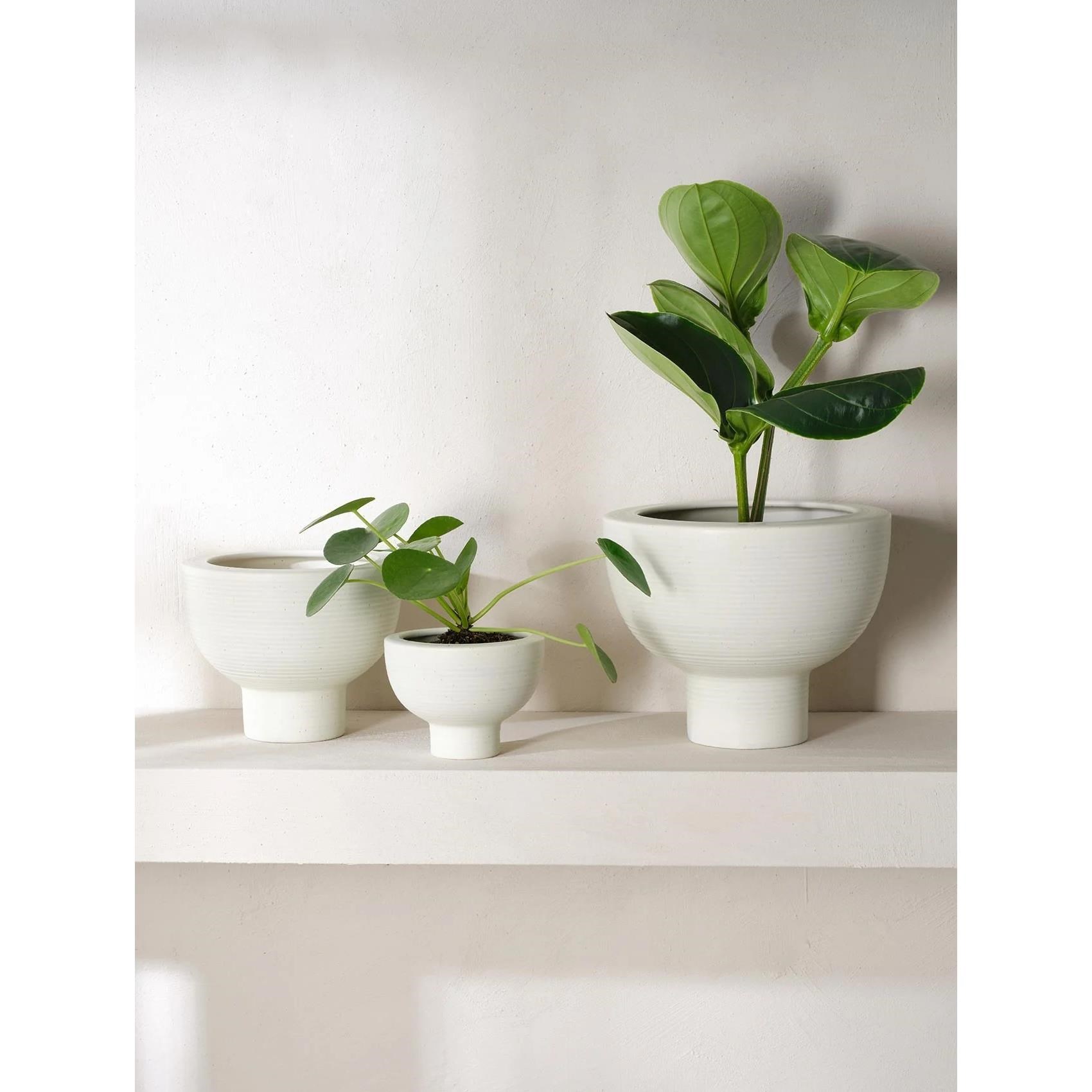 Květináč Asa MIDORO V.10cm bílý_0