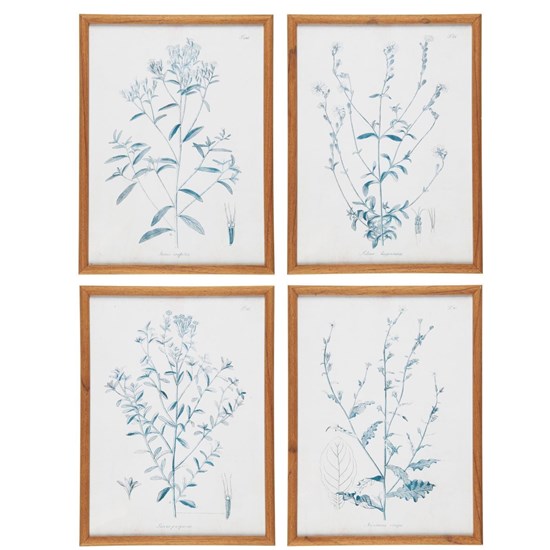 Obrázky květin v rámu Ib Laursen set/4 ks_0