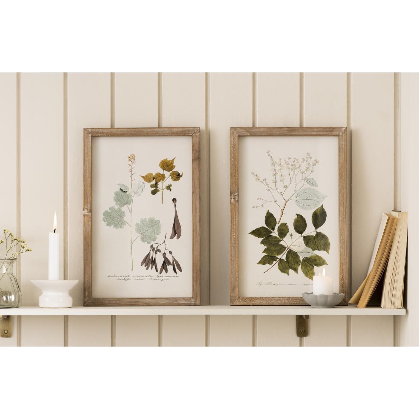 Svícínek se širokým okrajem Ib Laursen_0