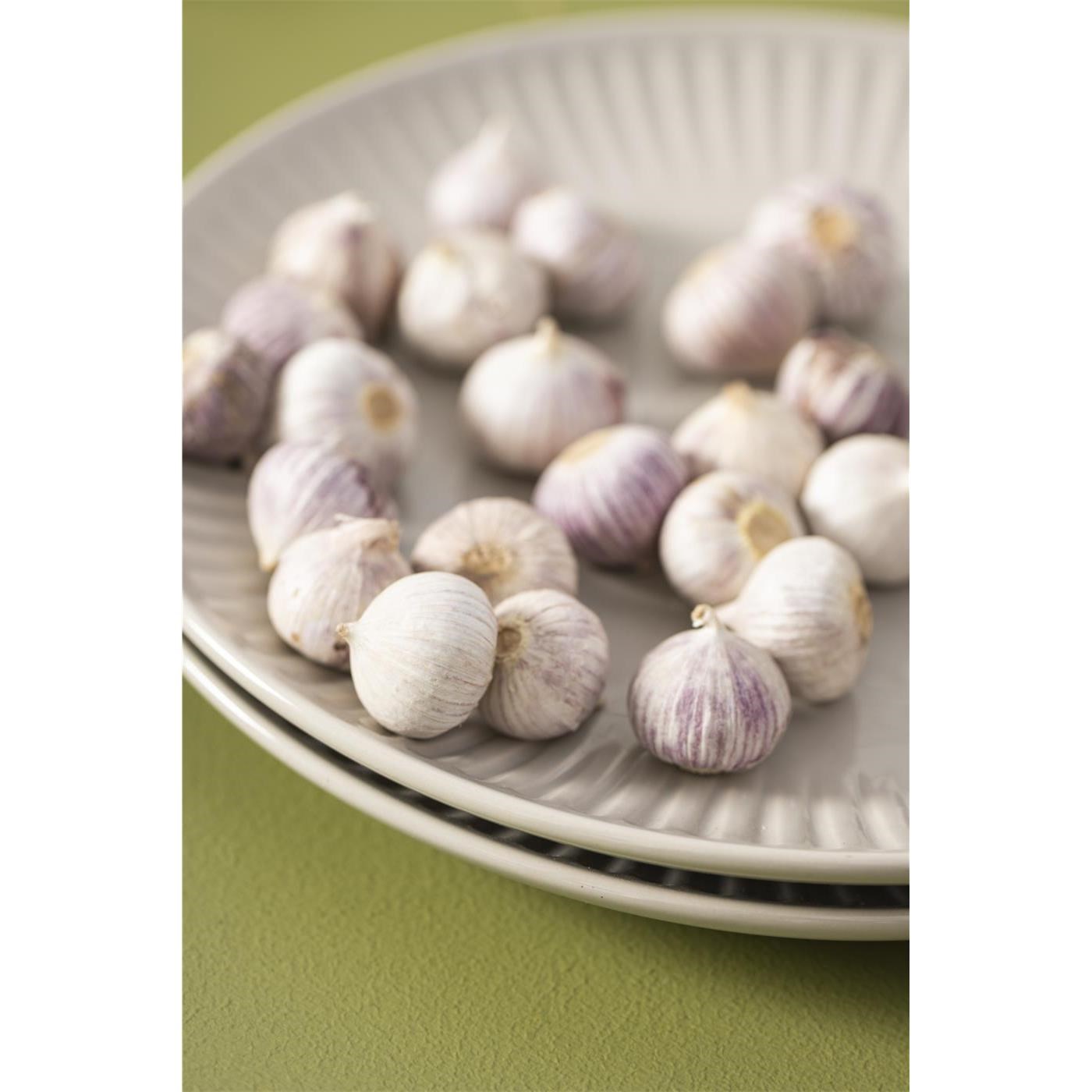 Talíř Ib Laursen Mynte 19,5 cm Latte_2