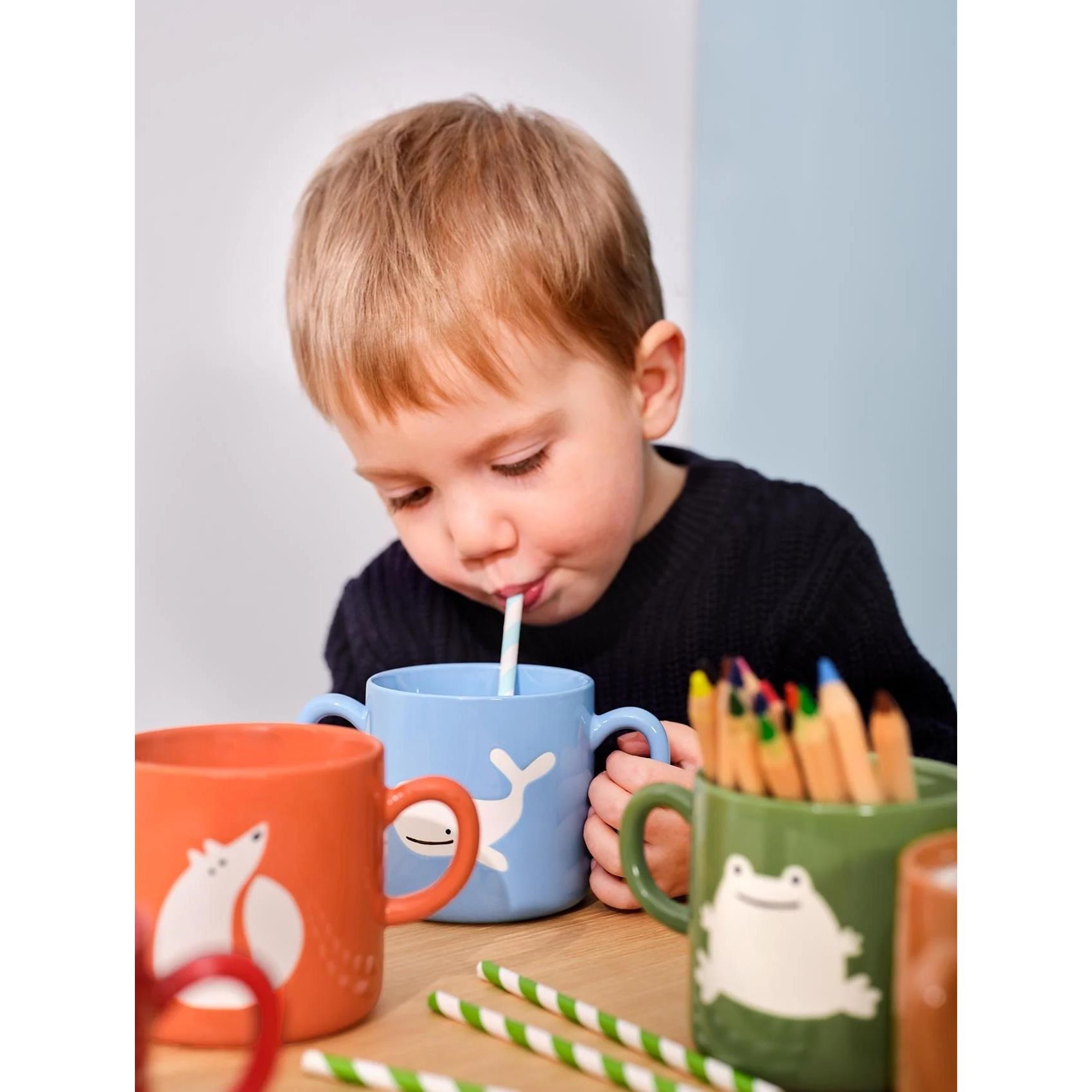 Hrneček Asa BUDDIES 250ml oranžový s liškou_0