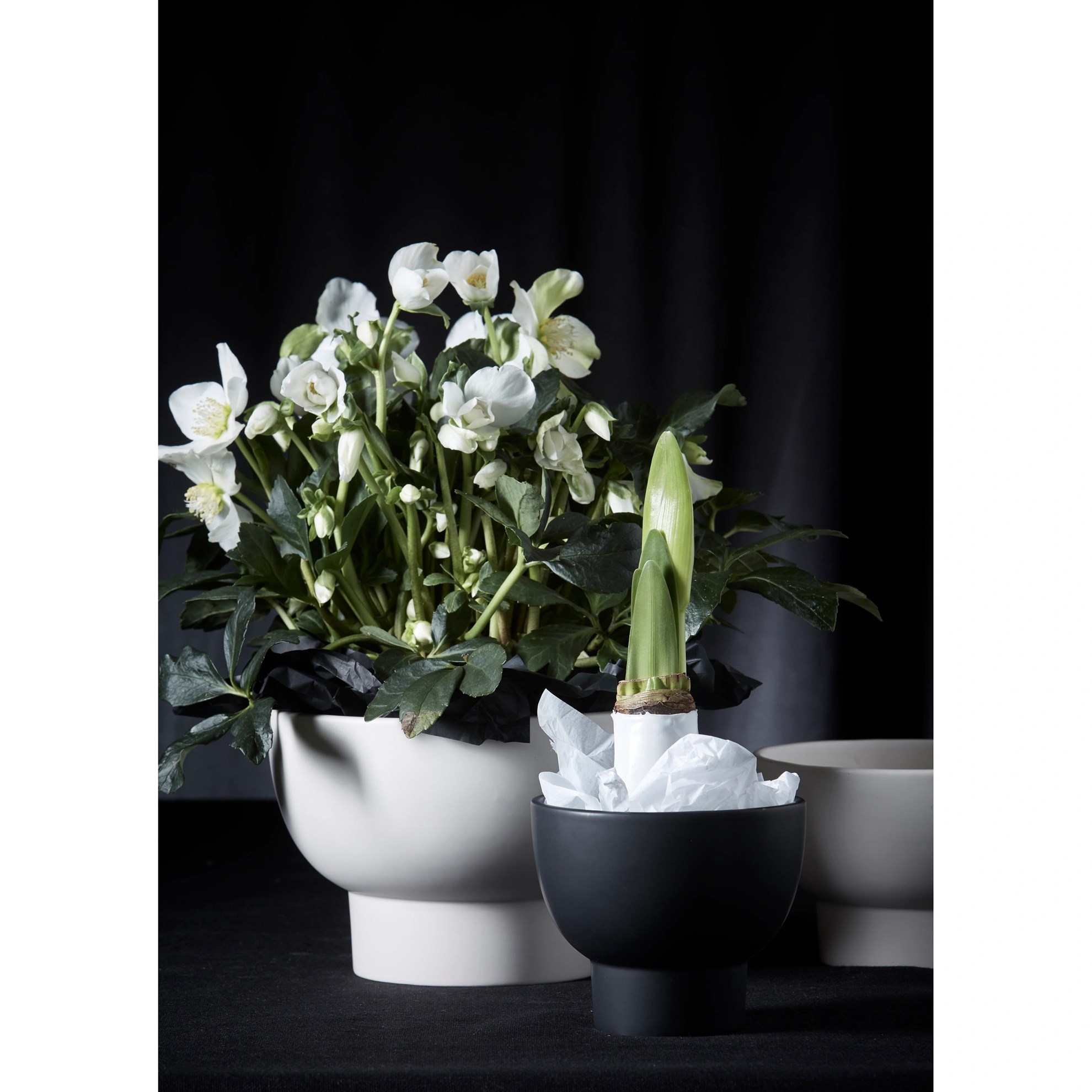 Keramické květináče MEGAN V.19/15cm SET/2ks bílé_4