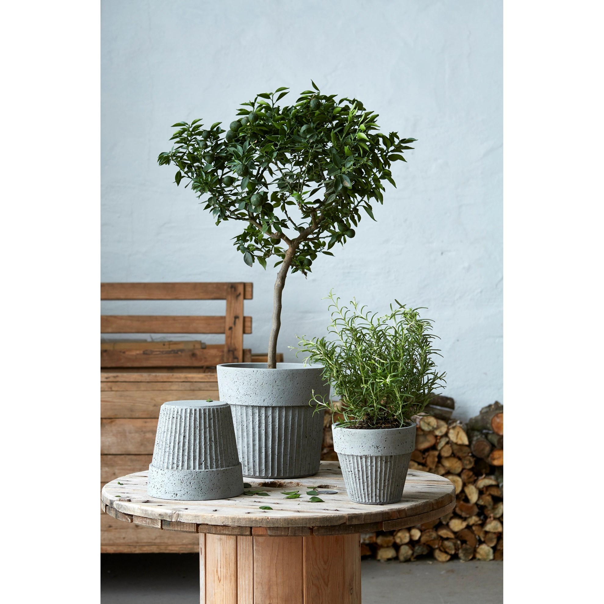 Betonové květináče ANITA V.24/18cm SET/2ks šedé_3