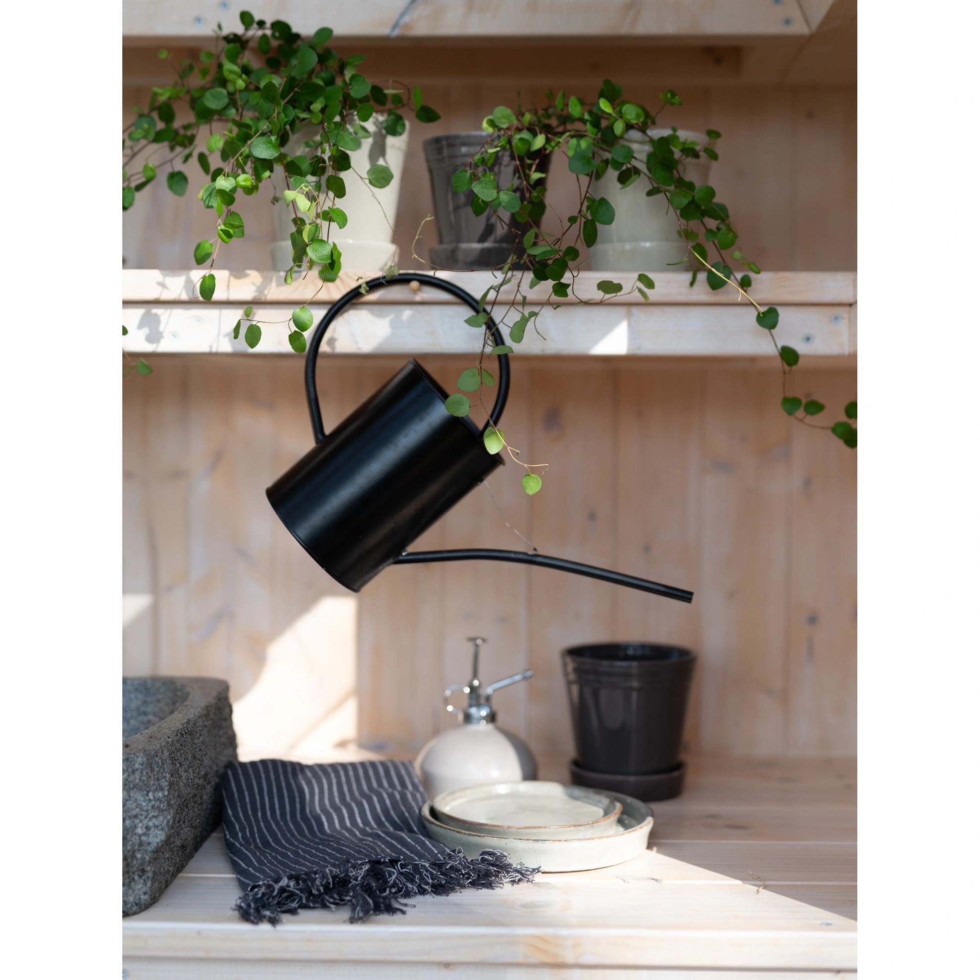 Konvička na zalévání SAVANNA 1,6l černá_1