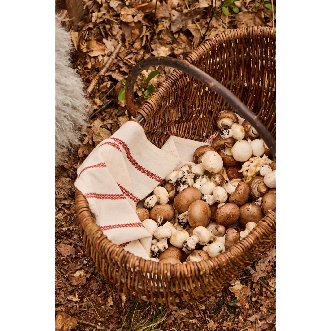 Kuchyňská utěrka Rebecca Ib Laursen 70x50 cm přírodní s tkaným rezatým pruhem_5