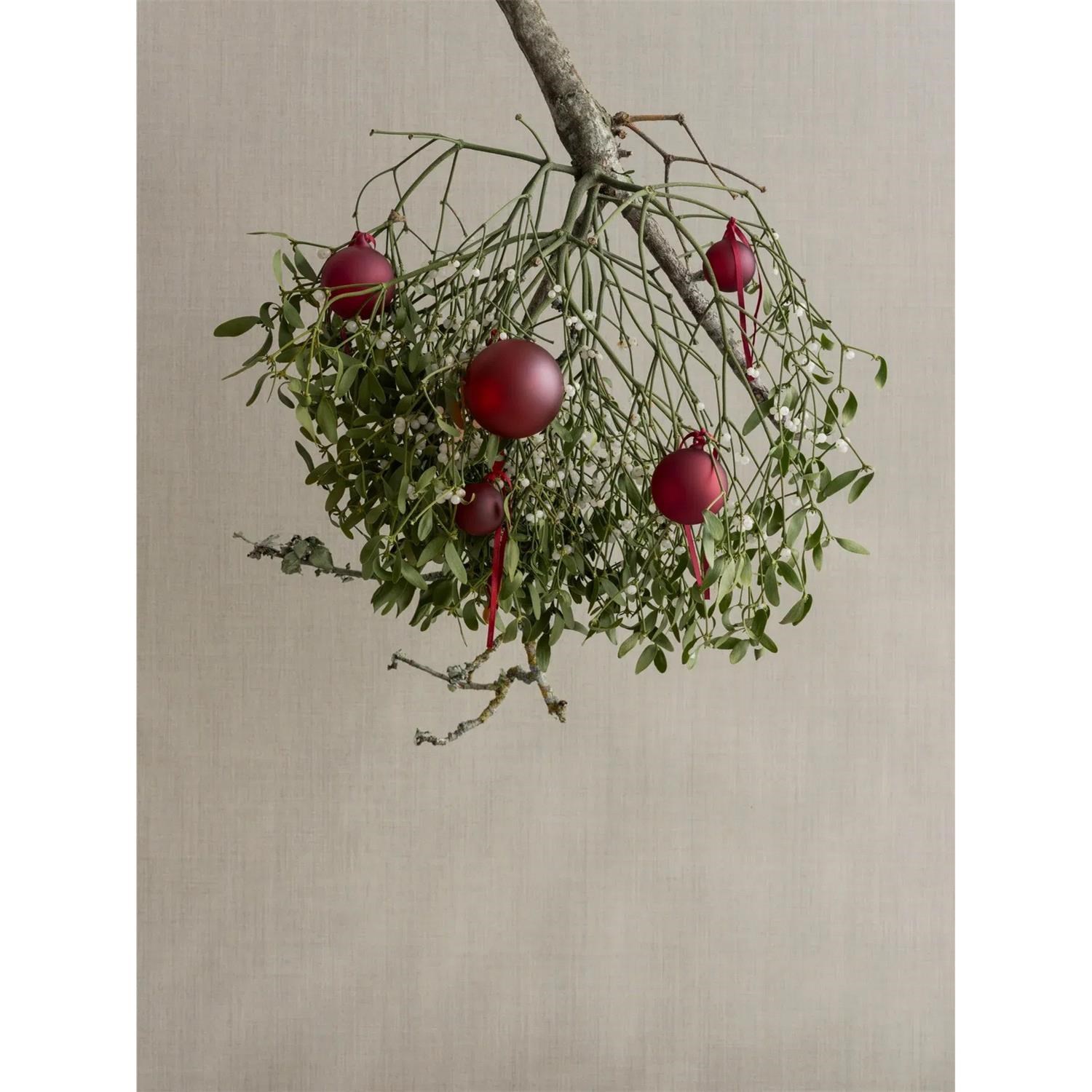 Skleněné ozdoby Blomus JUHLA P.9cm SET/2ks červené_0