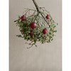 Skleněné ozdoby Blomus JUHLA P.9cm SET/2ks červené_0