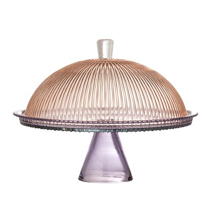 Skleněný podnos na dort s poklopem TAYO P.32 cm vícebarevný_6