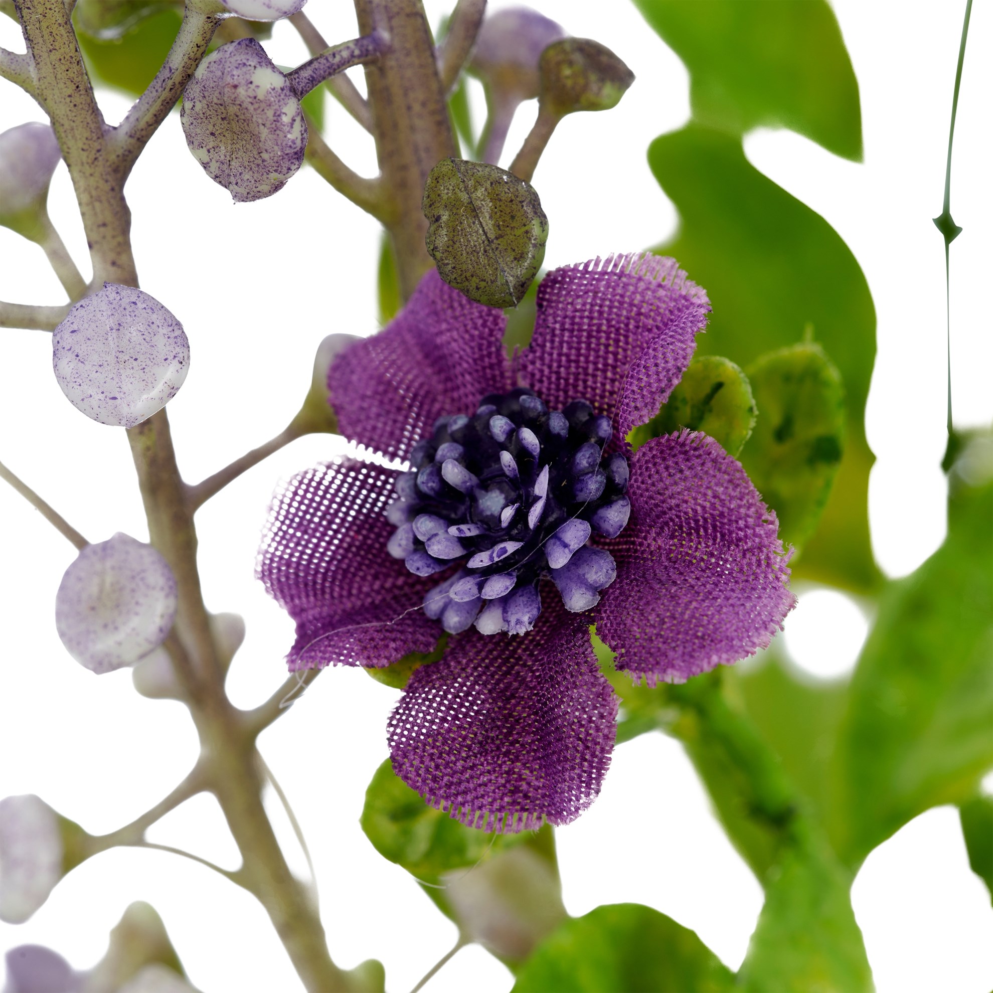 Trnovník x5 72 cm, fialová_0