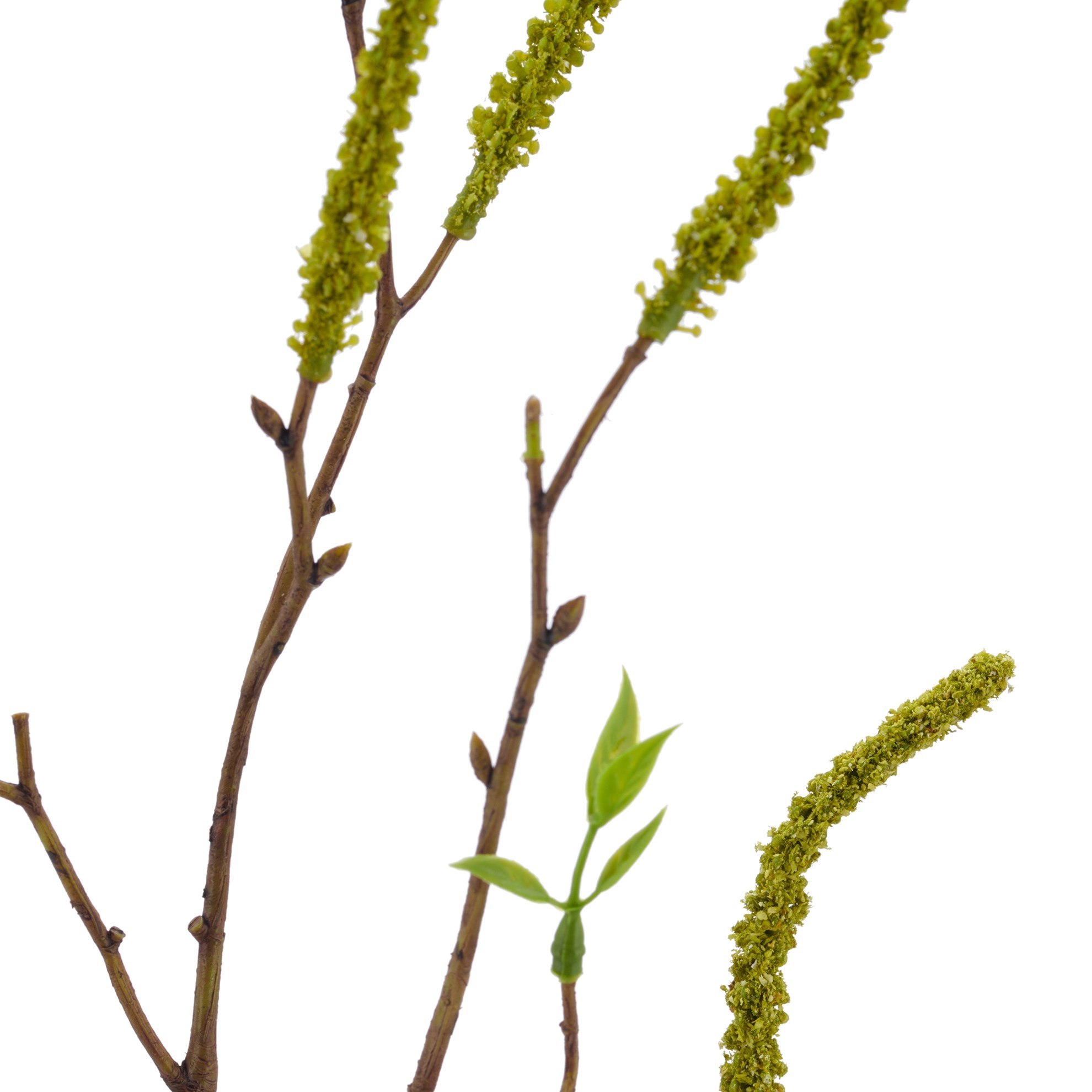 Březová větvička 64 cm, zelená_0